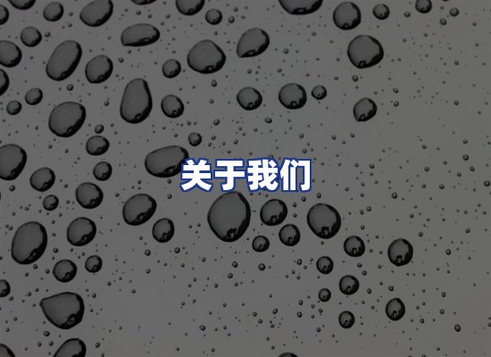 专业团队